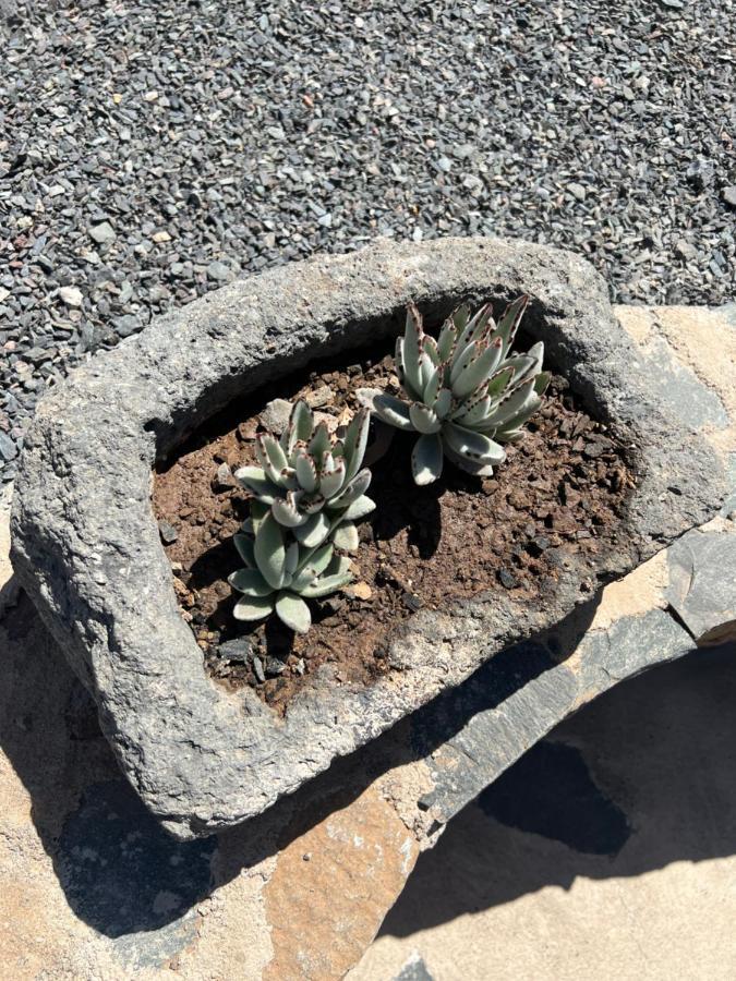 Casa Rural Con Bano Adaptado Y Piscina En Mogán Exteriör bild